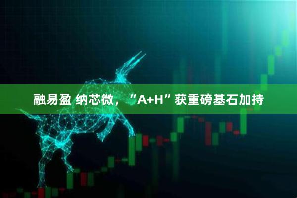 融易盈 纳芯微，“A+H”获重磅基石加持